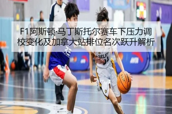 a-si-dun-ma-ding-si-tuo-er-sai-che-xia-ya-li-diao-xiao-bian-hua-ji-jia-na-da-zhan-pai-wei-ming-ci-yue-sheng-jie-xi-2-151.jpg