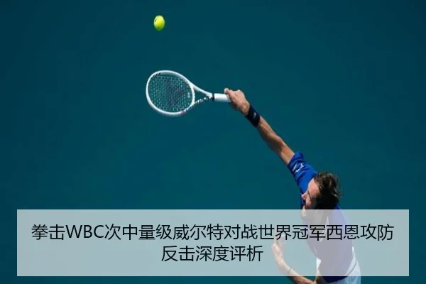 拳击WBC次中量级威尔特对战世界冠军西恩攻防反击深度评析